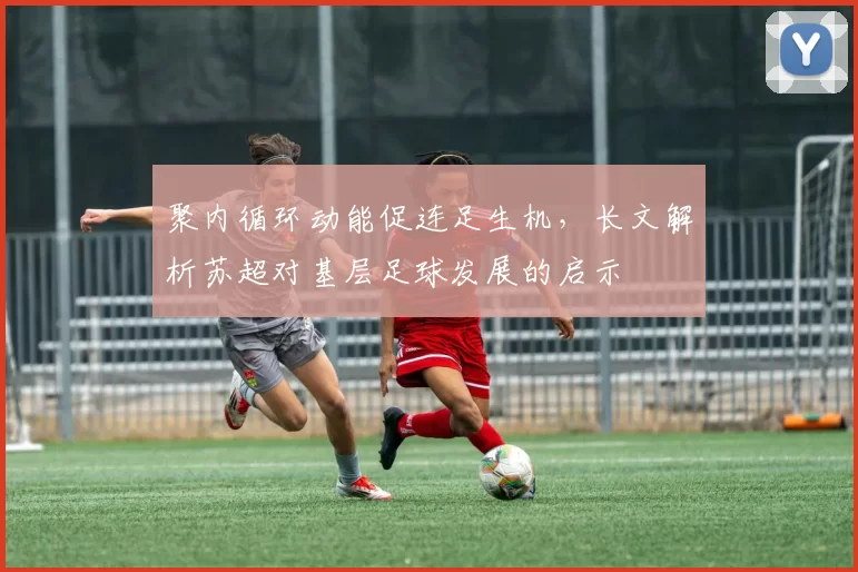 聚内循环动能促连足生机,长文解析苏超对基层足球发展的启示