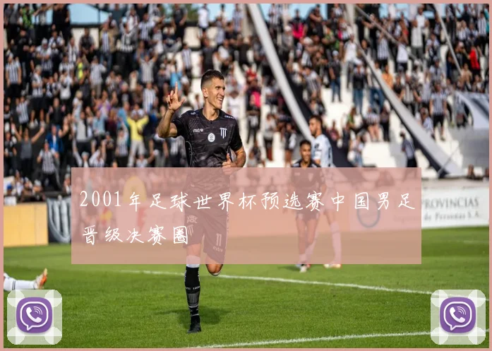 2001年足球世界杯预选赛中国男足晋级决赛圈