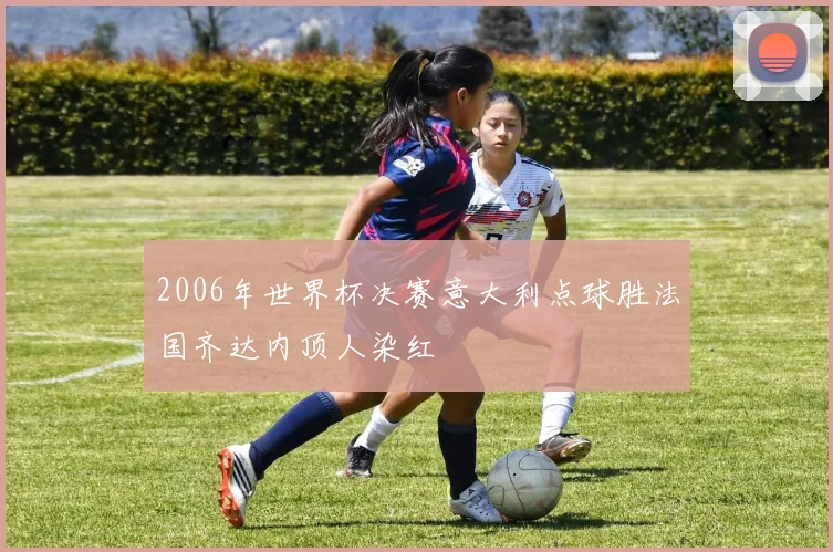 2006年世界杯决赛意大利点球胜法国齐达内顶人染红