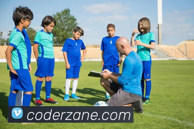 星空平台app官网入口平台生态图